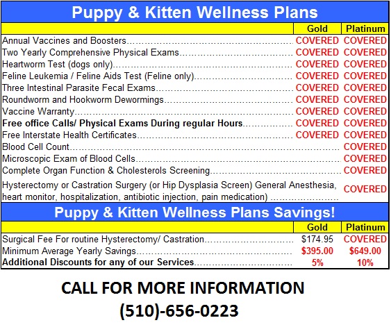 Puppy and Kitten Wellness Plans